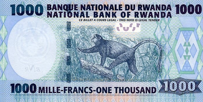 Rwanda 1000 franków Małpka 2004 P-31