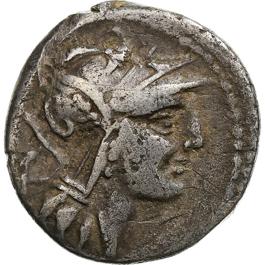 Junia, 
  
  Denar, 
  
  91 p.n.e